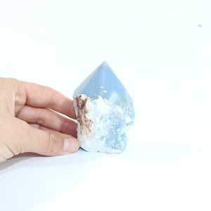 Angelite crystal point | ASH&STONE Crystal Shop Auckland NZ