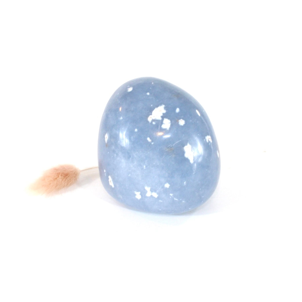 Angelite polished crystal free form | ASH&STONE Crystals Shop Auckland NZ