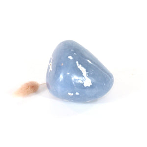 Angelite polished crystal free form | ASH&STONE Crystals Shop Auckland NZ