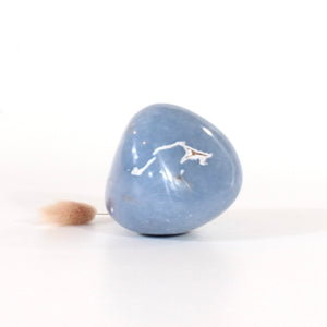 Angelite polished crystal free form | ASH&STONE Crystals Shop Auckland NZ