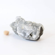 Load image into Gallery viewer, Apophyllite on blue chalcedony crystal cluster | ASH&amp;STONE Crystals Shop Auckland NZ
