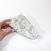 Load image into Gallery viewer, Apophyllite crystal cluster | ASH&amp;STONE Crystals Shop Auckland NZ
