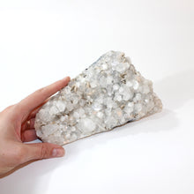 Load image into Gallery viewer, Apophyllite crystal cluster | ASH&amp;STONE Crystals Shop Auckland NZ
