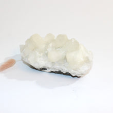 Load image into Gallery viewer, Apophyllite crystal cluster  | ASH&amp;STONE Crystals Shop Auckland NZ
