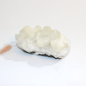 Apophyllite crystal cluster  | ASH&STONE Crystals Shop Auckland NZ