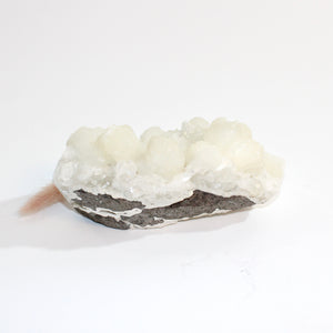 Apophyllite crystal cluster  | ASH&STONE Crystals Shop Auckland NZ