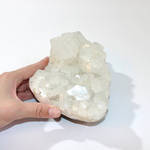 Load image into Gallery viewer, Large apophyllite crystal cluster 2.29kg | ASH&amp;STONE Crystals Shop Auckland NZ
