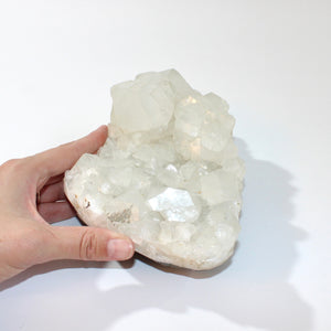 Large apophyllite crystal cluster 2.29kg | ASH&STONE Crystals Shop Auckland NZ