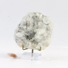 Load image into Gallery viewer, Apophyllite crystal cluster with stand | ASH&amp;STONE Crystals Shop Auckland NZ
