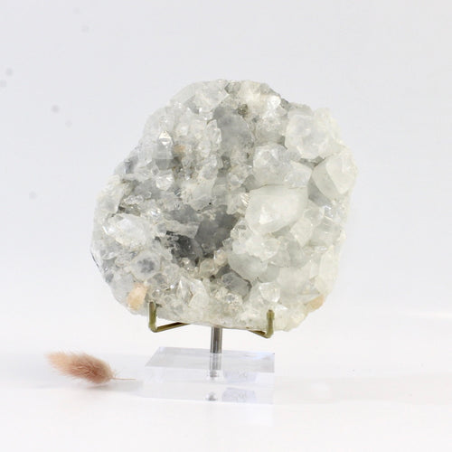 Apophyllite crystal cluster with stand | ASH&STONE Crystals Shop Auckland NZ