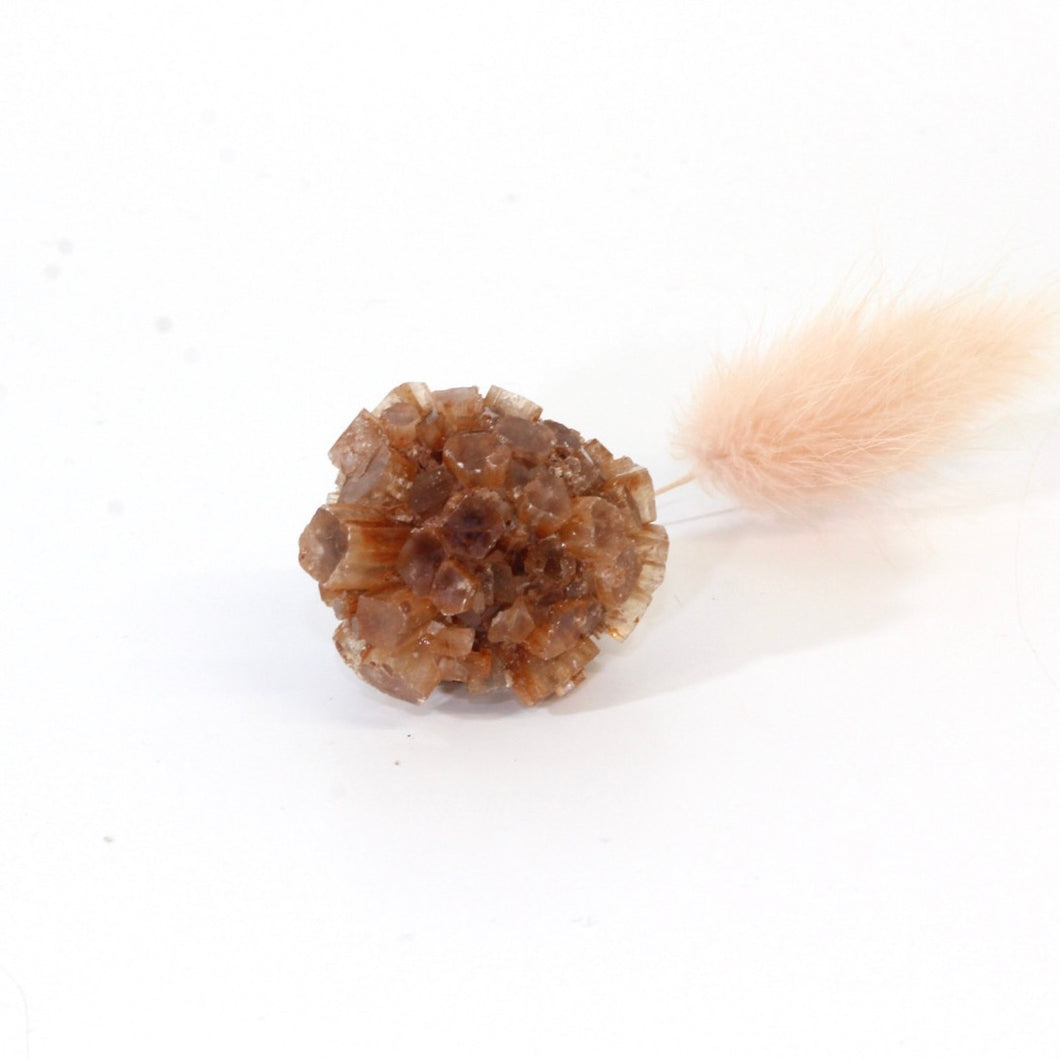 Aragonite sputniks crystal cluster | ASH&STONE Crystals Shop Auckland NZ