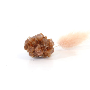 Aragonite sputniks crystal cluster | ASH&STONE Crystals Shop Auckland NZ