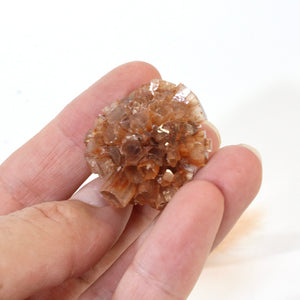 Aragonite sputniks crystal cluster | ASH&STONE Crystals Shop Auckland NZ