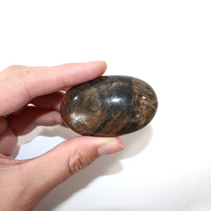 Black moonstone polished crystal palm stone | ASH&STONE Crystals Shop Auckland NZ