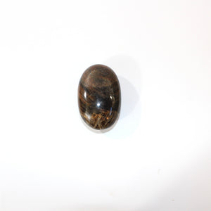 Black moonstone polished crystal palm stone | ASH&STONE Crystals Shop Auckland NZ