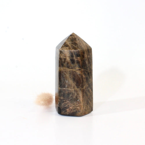 Black moonstone polished crystal tower | ASH&STONE Crystals Shop Auckland NZ