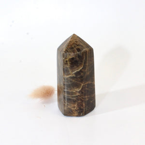 Black moonstone polished crystal tower | ASH&STONE Crystals Shop Auckland NZ