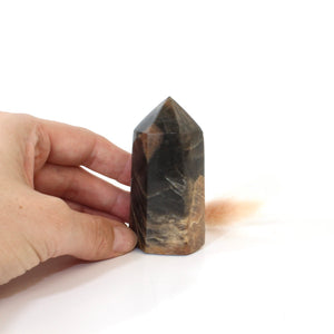 Black moonstone polished crystal tower | ASH&STONE Crystals Shop Auckland NZ