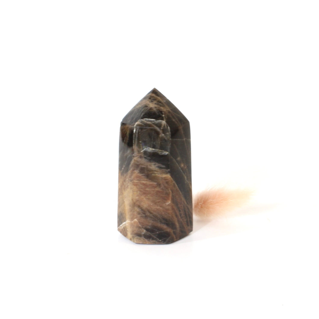 Black moonstone polished crystal tower | ASH&STONE Crystals Shop Auckland NZ