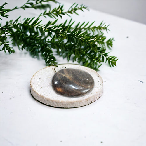 Black moonstone polished crystal palm stone | ASH&STONE Crystals Shop Auckland NZ