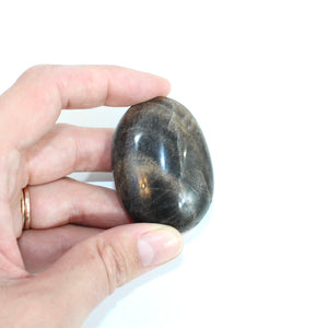 Black moonstone polished crystal palm stone | ASH&STONE Crystals Shop Auckland NZ