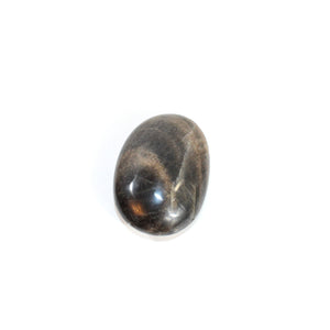 Black moonstone polished crystal palm stone | ASH&STONE Crystals Shop Auckland NZ