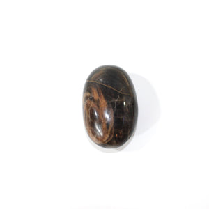 Black moonstone polished crystal palm stone | ASH&STONE Crystals Shop Auckland NZ