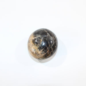 Black moonstone polished crystal palm stone | ASH&STONE Crystals Shop Auckland NZ