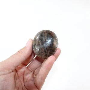 Black moonstone polished crystal palm stone | ASH&STONE Crystal Shop Auckland NZ