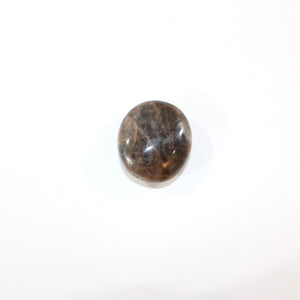 Black moonstone polished crystal palm stone | ASH&STONE Crystal Shop Auckland NZ