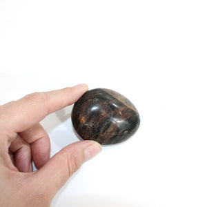 Black moonstone polished crystal palm stone  | ASH&STONE Crystals Shop Auckland NZ
