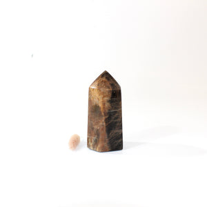 Black moonstone polished crystal generator | ASH&STONE Crystals Shop Auckland NZ