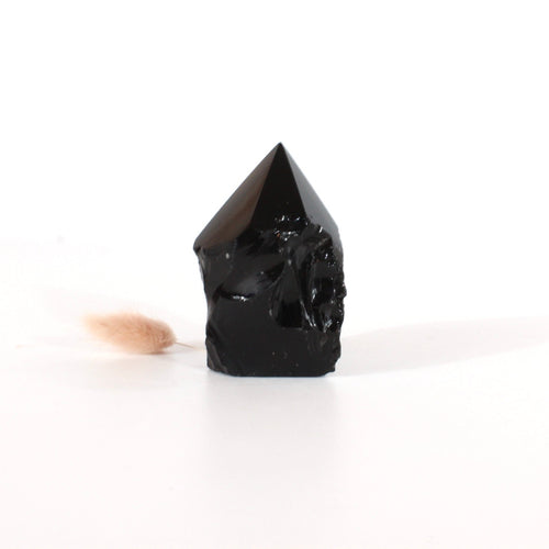 Black obsidian with point | ASH&STONE Crystals Shop Auckland NZ