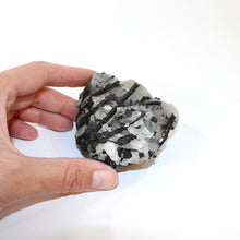 Load image into Gallery viewer, Black tourmaline in quartz crystal chunk | ASH&amp;STONE Crystals Shop Auckland NZ

