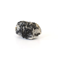 Load image into Gallery viewer, A-Grade black tourmaline in quartz crystal | ASH&amp;STONE Crystals Shop Auckland NZ
