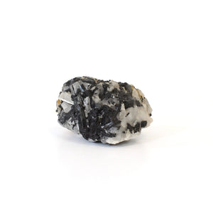 A-Grade black tourmaline in quartz crystal | ASH&STONE Crystals Shop Auckland NZ