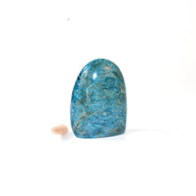 Load image into Gallery viewer, Blue apatite polished crystal free form | ASH&amp;STONE Crystals Shop Auckland NZ

