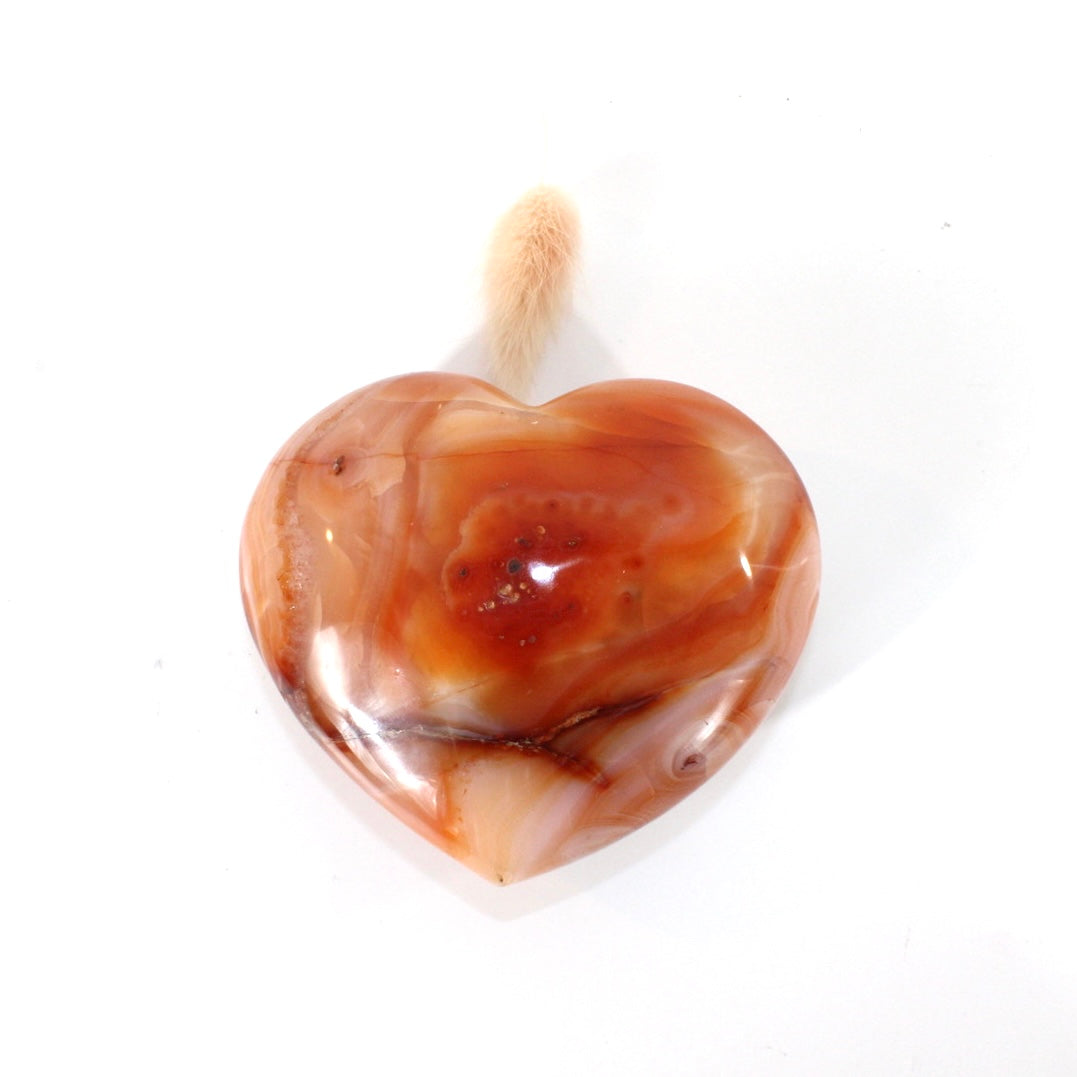 Carnelian polished crystal heart | ASH&STONE Crystals Shop Auckland NZ