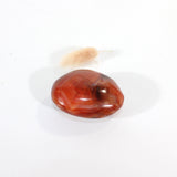 Carnelian polished crystal palm stone | ASH&STONE Crystals Shop Auckland NZ