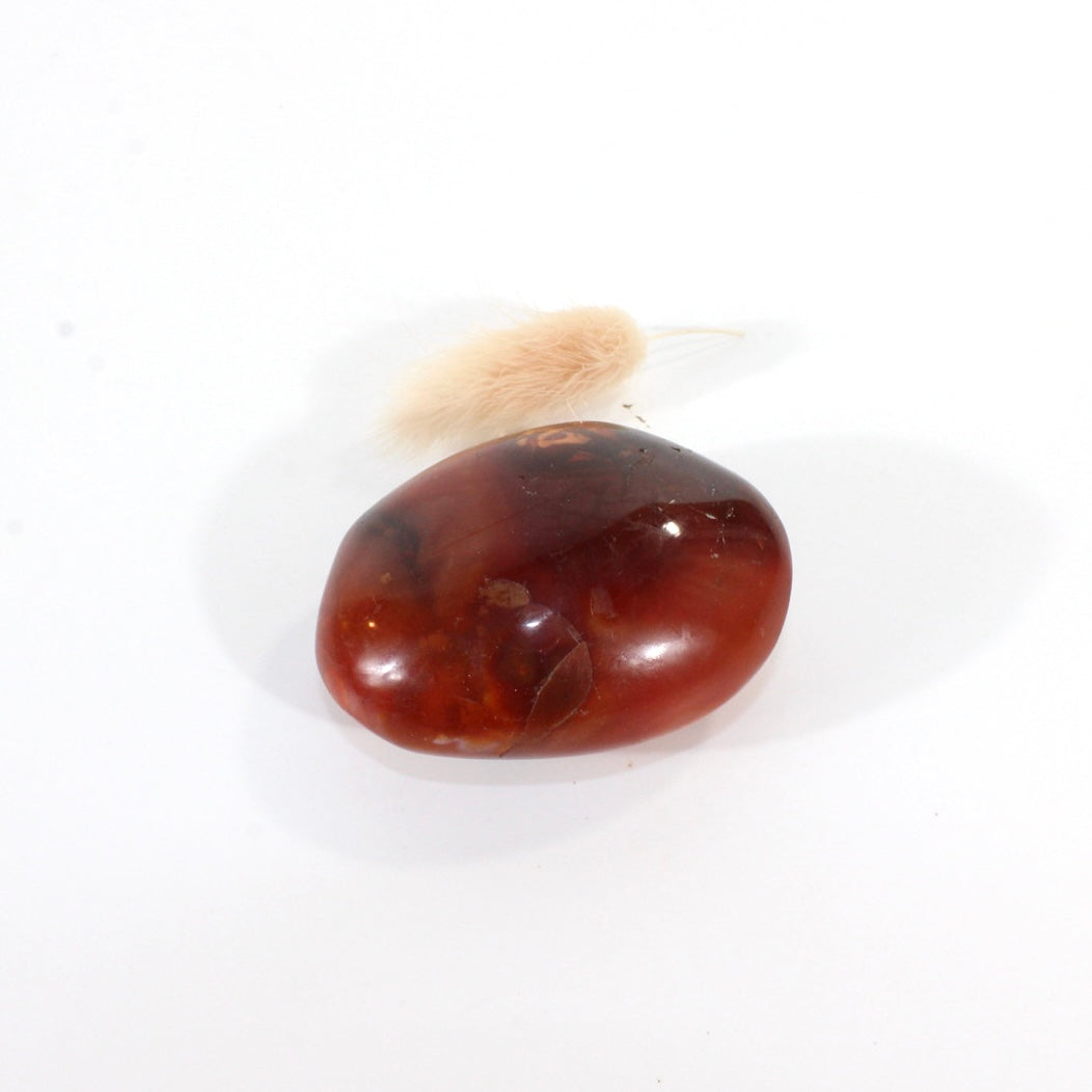 Carnelian polished crystal palm stone | ASH&STONE Crystals Shop Auckland NZ