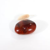 Carnelian polished crystal palm stone | ASH&STONE Crystals Shop Auckland NZ
