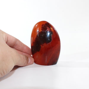 Carnelian polished crystal freeform | ASH&STONE Crystal Shop Auckland NZ