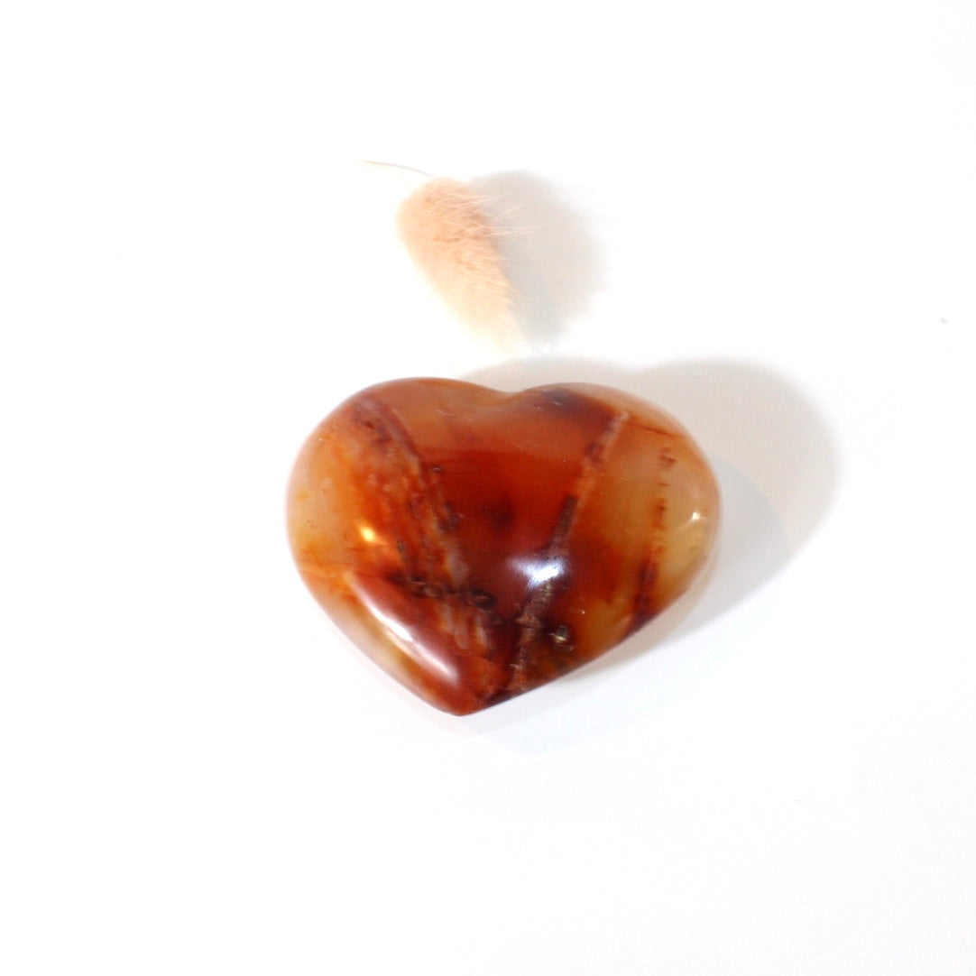 Carnelian polished crystal heart | ASH&STONE Crystals Shop Auckland NZ