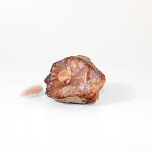 Carnelian raw crystal chunk  | ASH&STONE Crystals Shop Auckland NZ