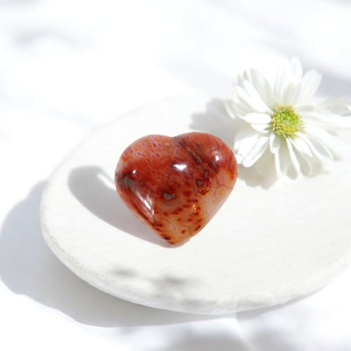 Carnelian polished crystal heart | ASH&STONE Crystal Shop Auckland NZ