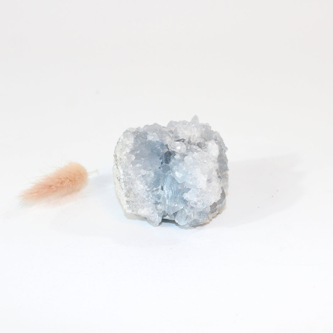 Celestite crystal cluster  | ASH&STONE Crystals Shop Auckland NZ