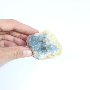 Celestite crystal cluster | ASH&STONE Crystals Shop Auckland NZ