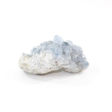 Load image into Gallery viewer, Celestite crystal cluster 1.22kg | ASH&amp;STONE Crystal Shop Auckland NZ
