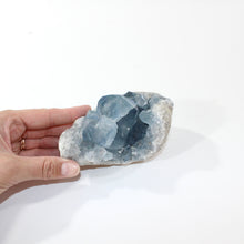 Load image into Gallery viewer, Celestite crystal cluster 1kg | ASH&amp;STONE Crystal Shop Auckland NZ
