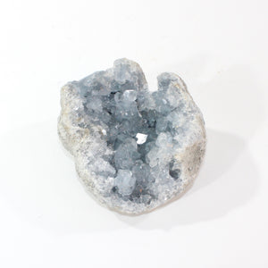 Large celestite crystal cluster 1.66kg | ASH&STONE Crystal Shop Auckland NZ